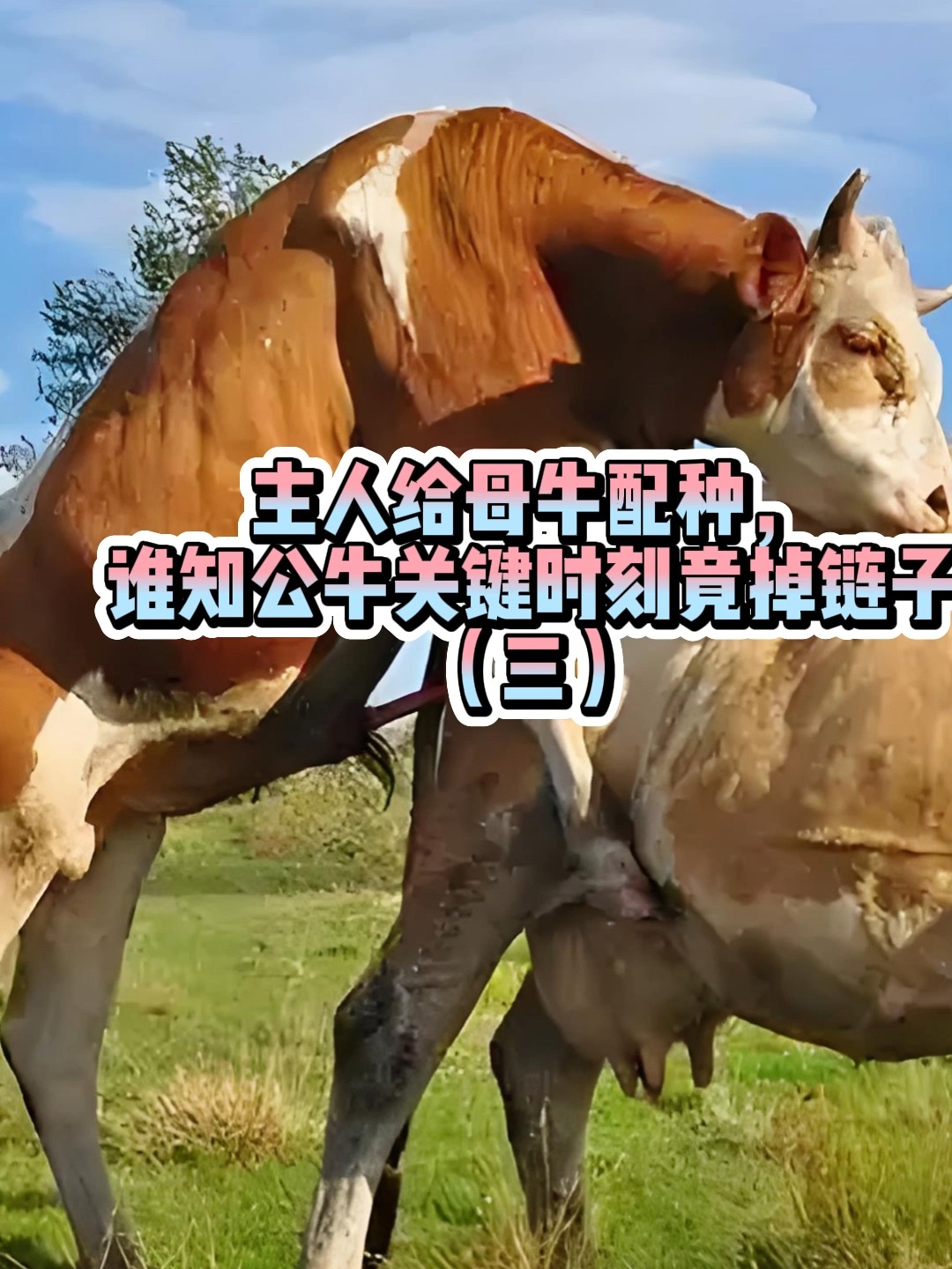 开云体育-Doinb重要时刻表现优异，公牛带队取胜！